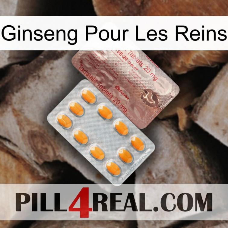 Ginseng For Kidney new13